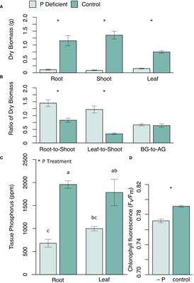 A multi-omic survey of black cottonwood tissues highlights coordinated transcriptomic and metabolomic mechanisms for plant adaptation to phosphorus deficiency